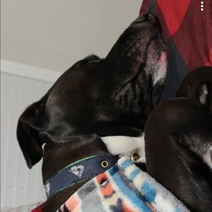 Meet your Posher, Kiersten